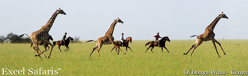 ol donya wuas luxury lodge kenya